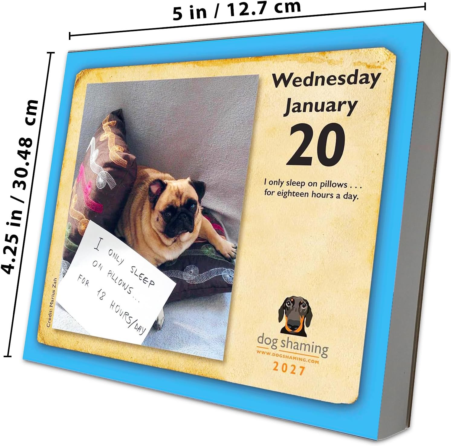 Dog Shaming Daily Box Calendar 2027, 12 Month Funny Naughty Pet Confessions image 3