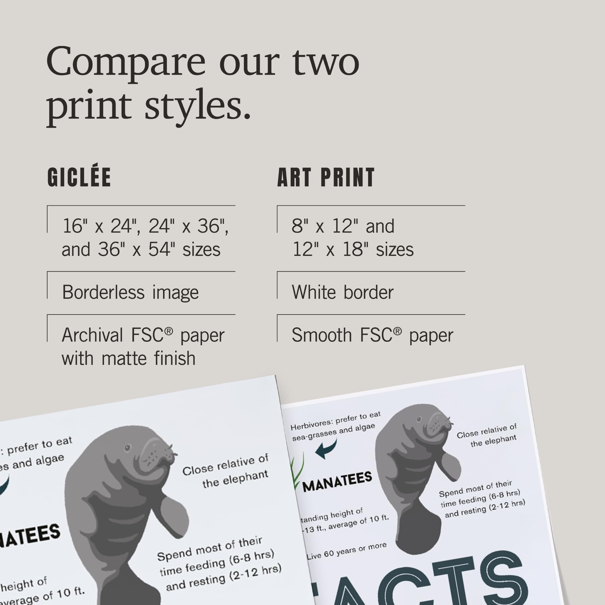Amazon.com: Facts About Manatees (Giclee Gallery Print, 16x24
