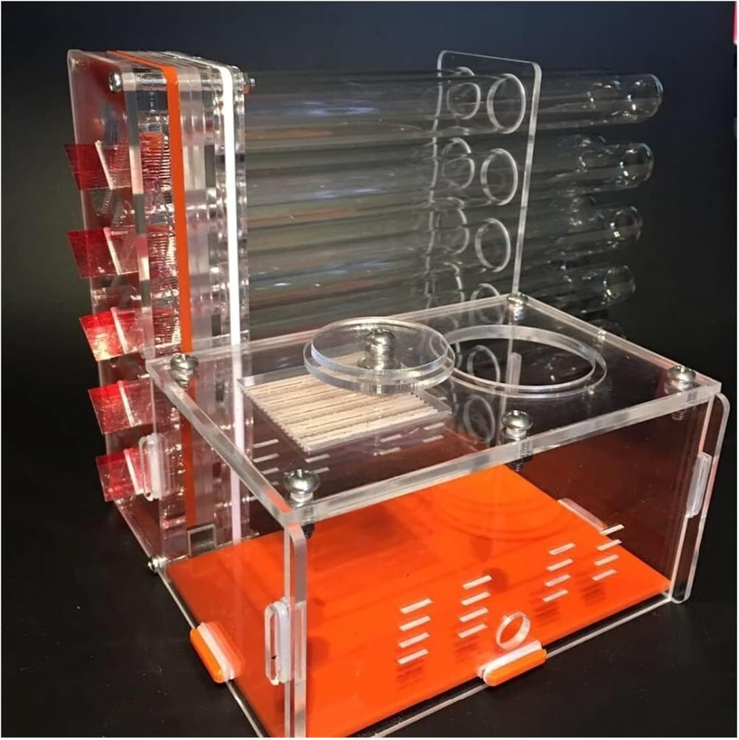 クリーパーアメハコ百景アメリカハコガメ飼育術 アメリカハコガメ飼育