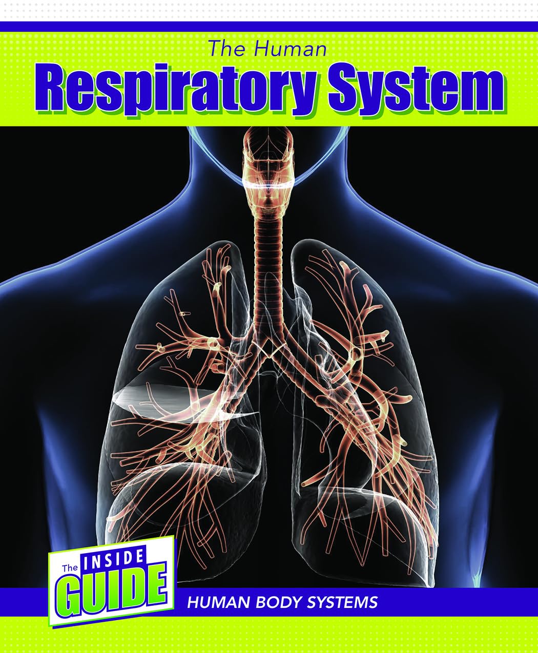 Buy The Human Respiratory System (Inside Guide: Human Body Systems) — BookShops.in