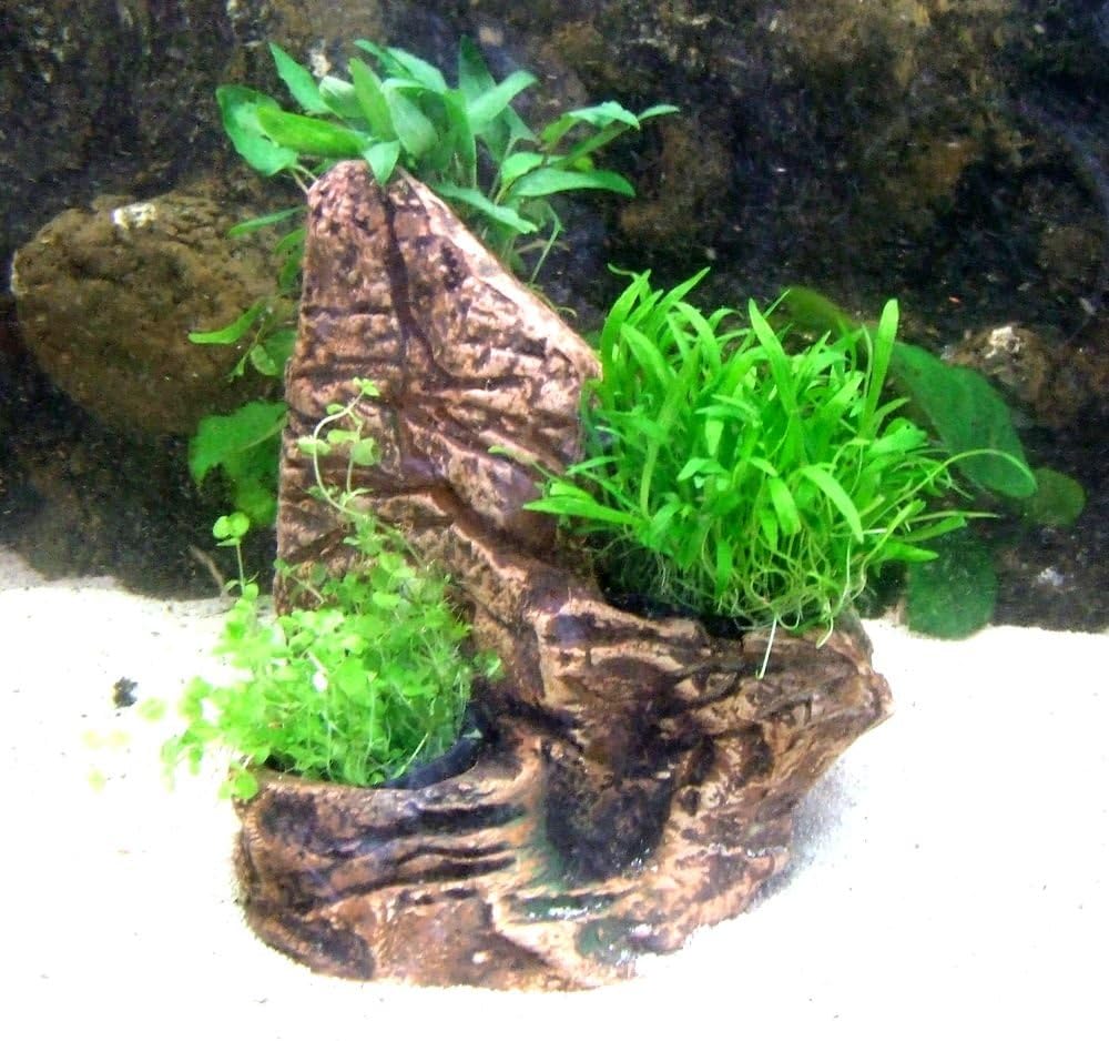 Triple aquarium Terrarium Plant Pot Planter Home Decorative Rocks Water Plants