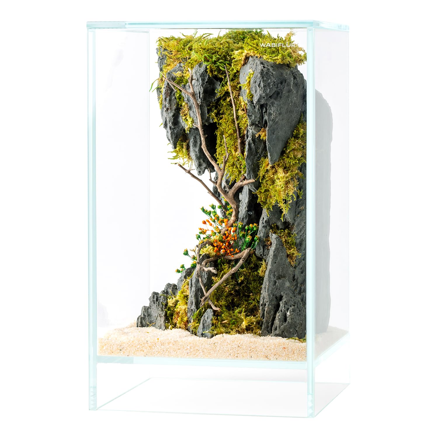 Creus - Terrario estabilizado de Cristal extraclaro, con luz LED y Soporte, con Flores estabilizadas, decoración Natural Elegante, sin Mantenimiento, para casa, Oficina e Ideas de Regalo