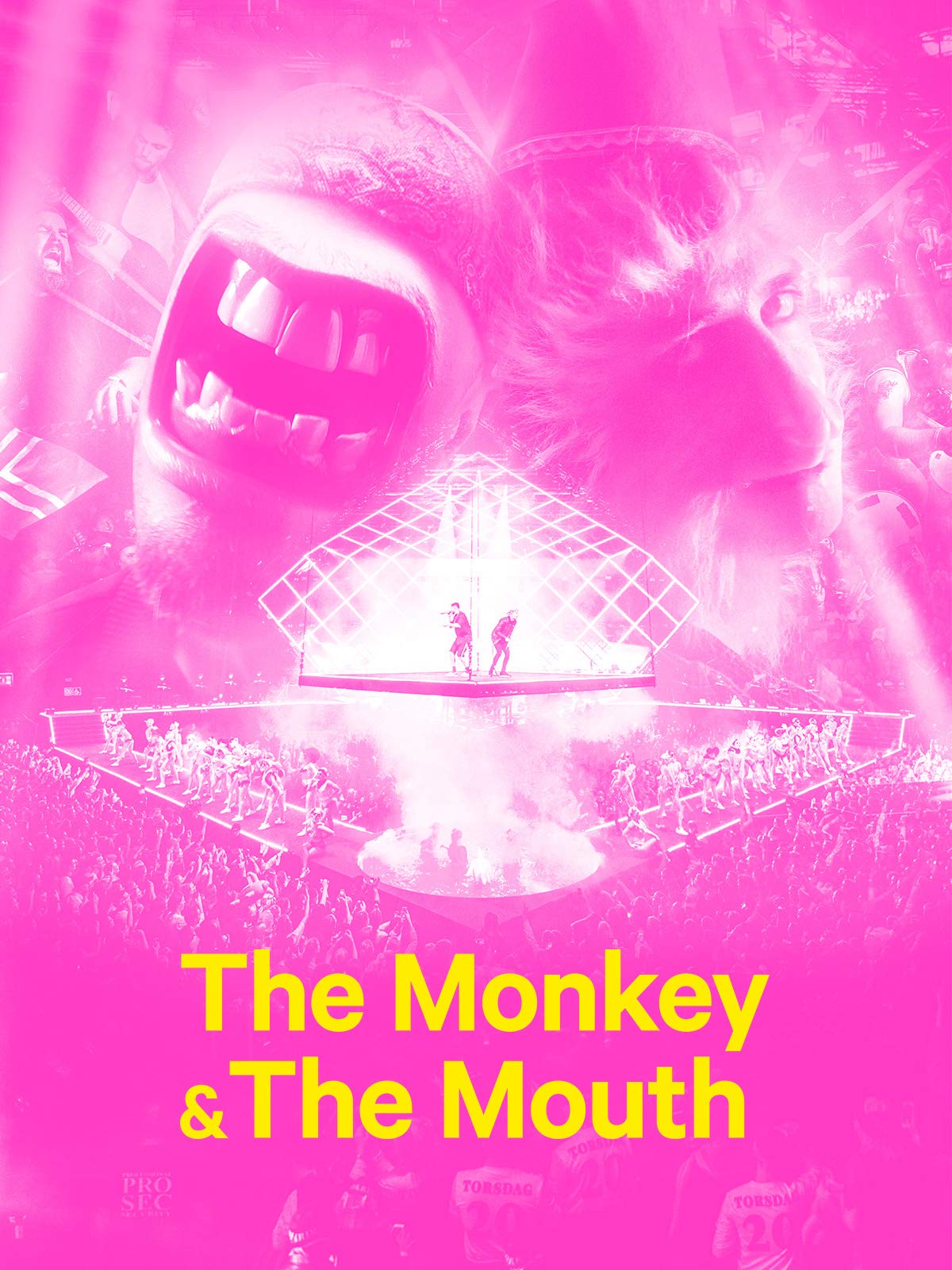 The Monkey and the Mouth