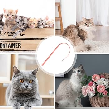 Katzenangel Mit Silikon-Mausschwanz – 77 Cm Lang, Interaktives Spielzeug Für Katzen