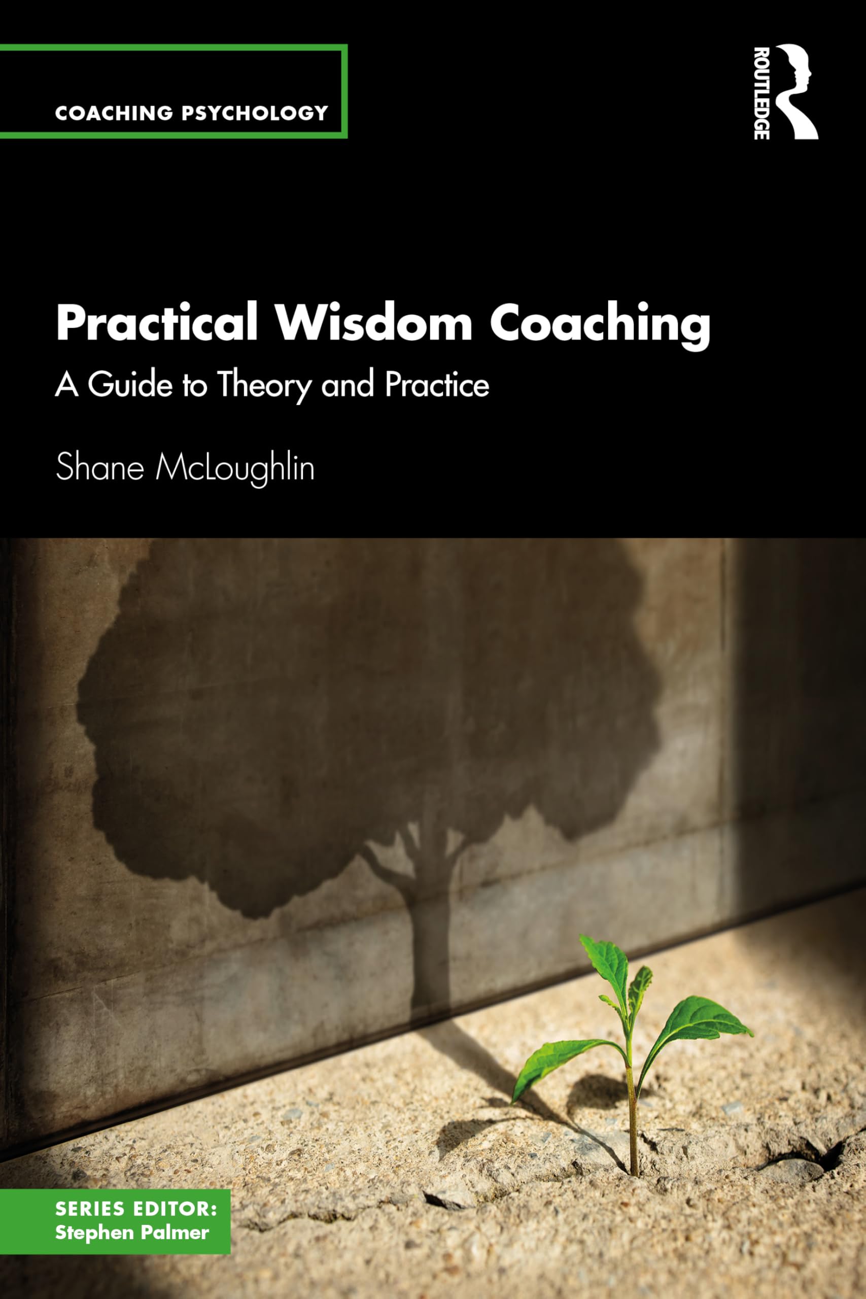 Practical Wisdom Coaching: A Guide to Theory and Practice (Coaching Psychology)