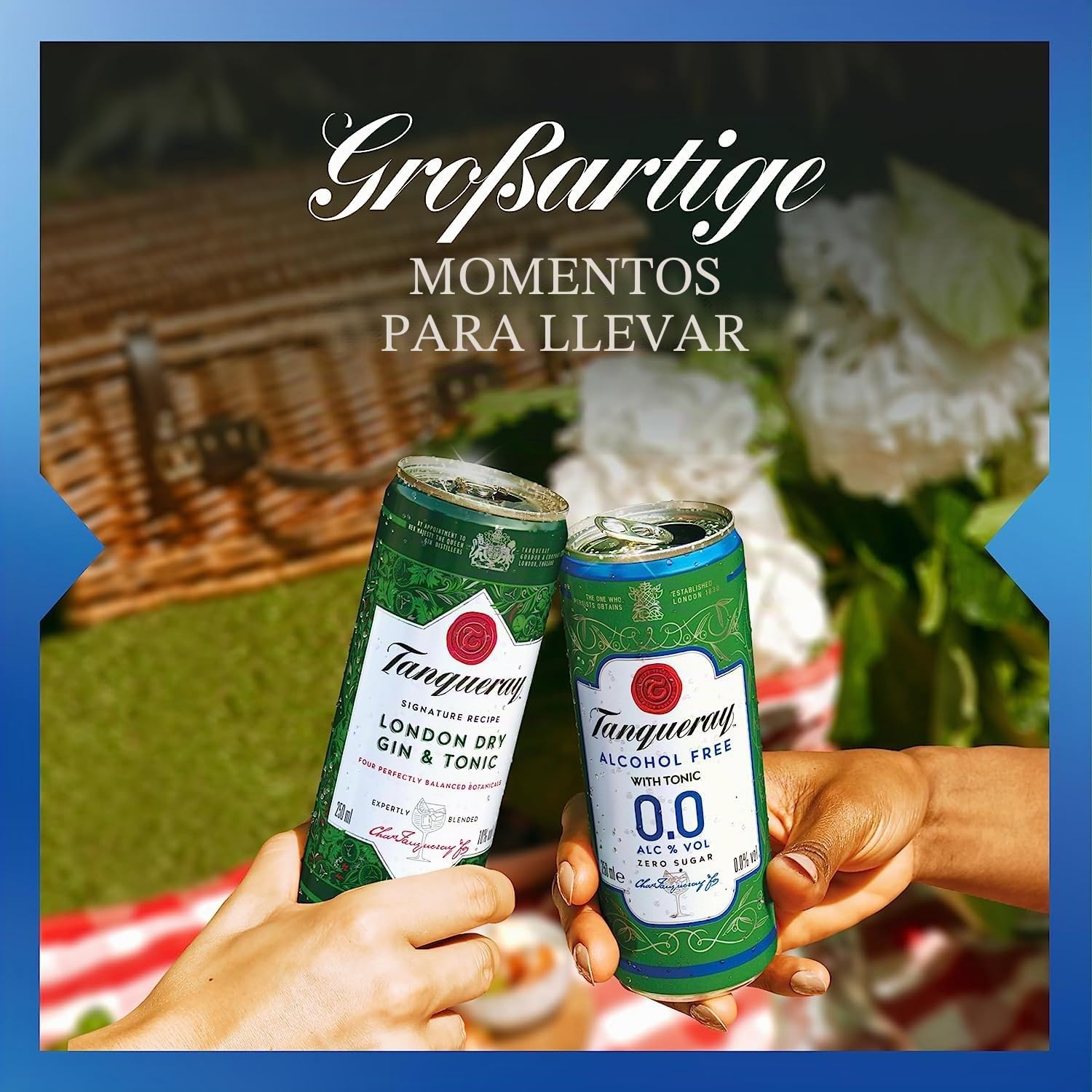 Tanqueray 0,0% & Tonic - Bebida mixta refrescante sin alcohol, sin azúcar y sin calorías, lista para beber "Slim Can" para viajes, 250 ml + Polpa italiana gourmet de 400 g