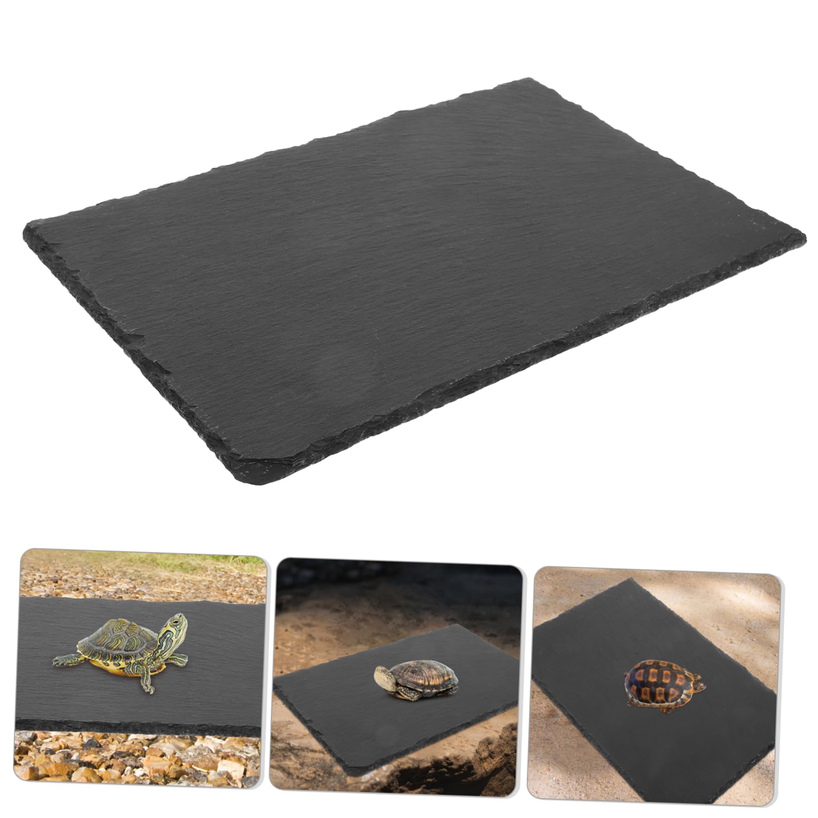 TOYANDONA Natürliche Schiefer als Dekoration Sonnenplattform mit Robustem Material für Reptilien und Schildkröten für Aquarium und Terrarium