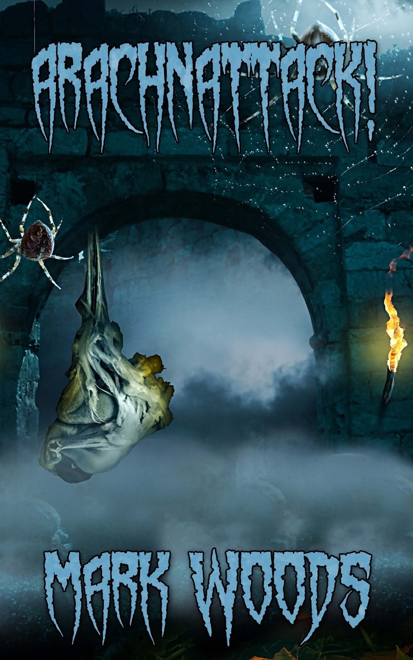 Cover of Arachnattack!