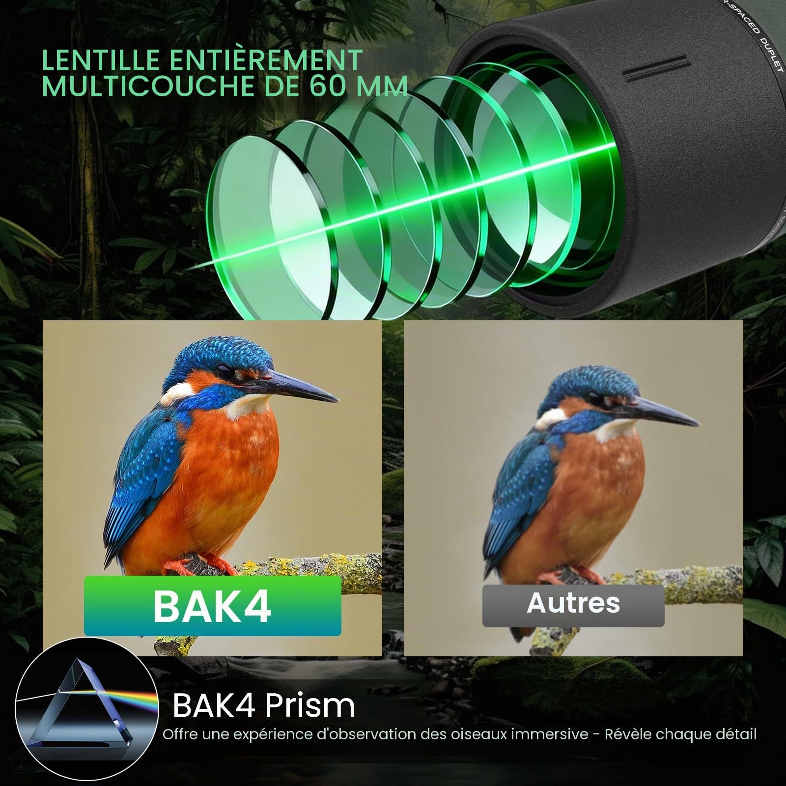 BIBIRE Longue Vues 25-75x60 avec trépied et Adaptateur pour téléphone, Longue-Vue Droite avec Sac de Transport, Longue-Vue HD pour l'observation des Oiseaux, la Faune Sauvage et Les cibles