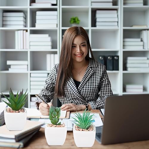 Miniatura 6 de 12 piezas de suculentas artificiales en macetas, suculentas falsas, mini suculentas artificiales para decoración del hogar, pequeñas plantas falsas