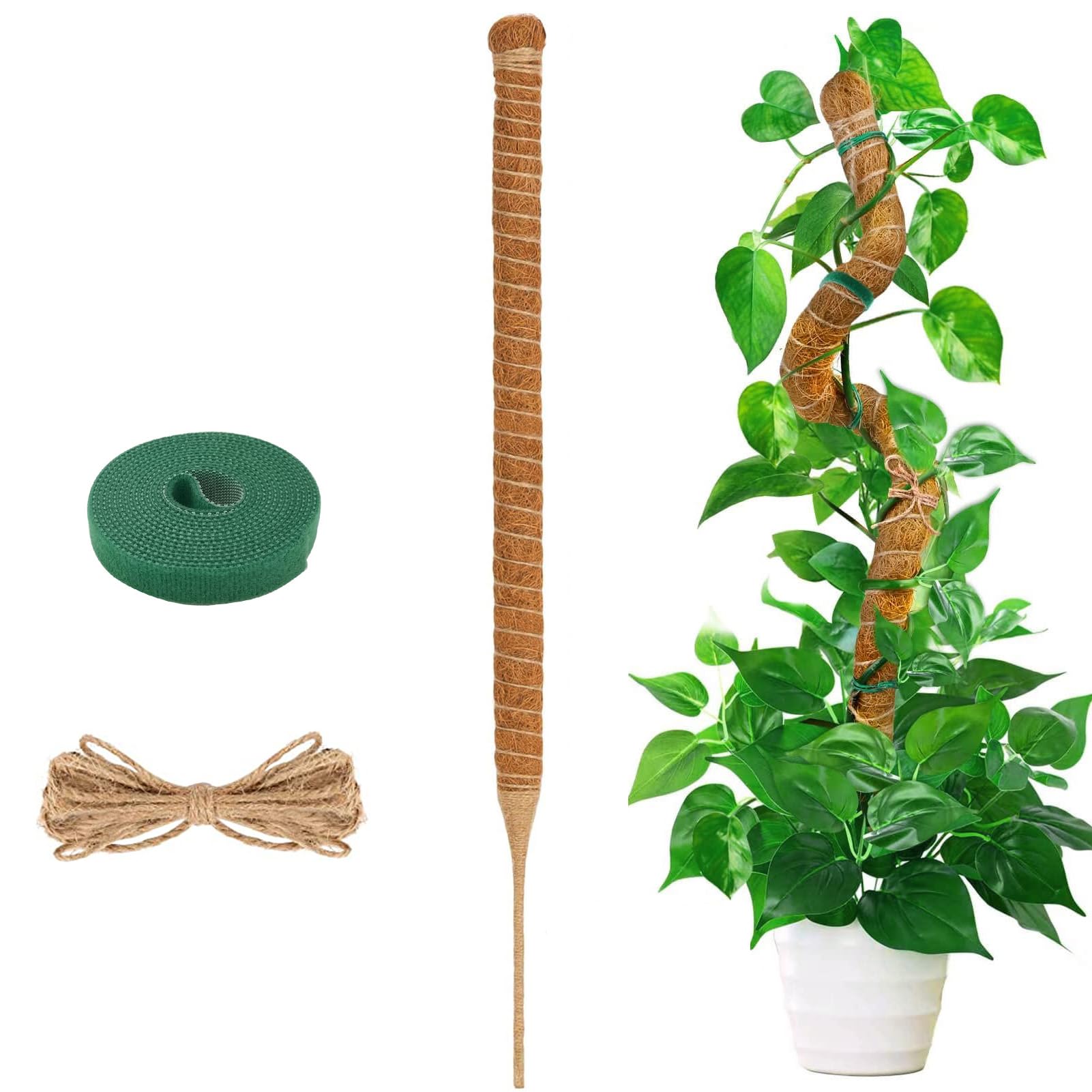 Amazon | YOUSHY 114CM モンステラ 支柱 観葉植物園芸支柱 ヘゴつる性