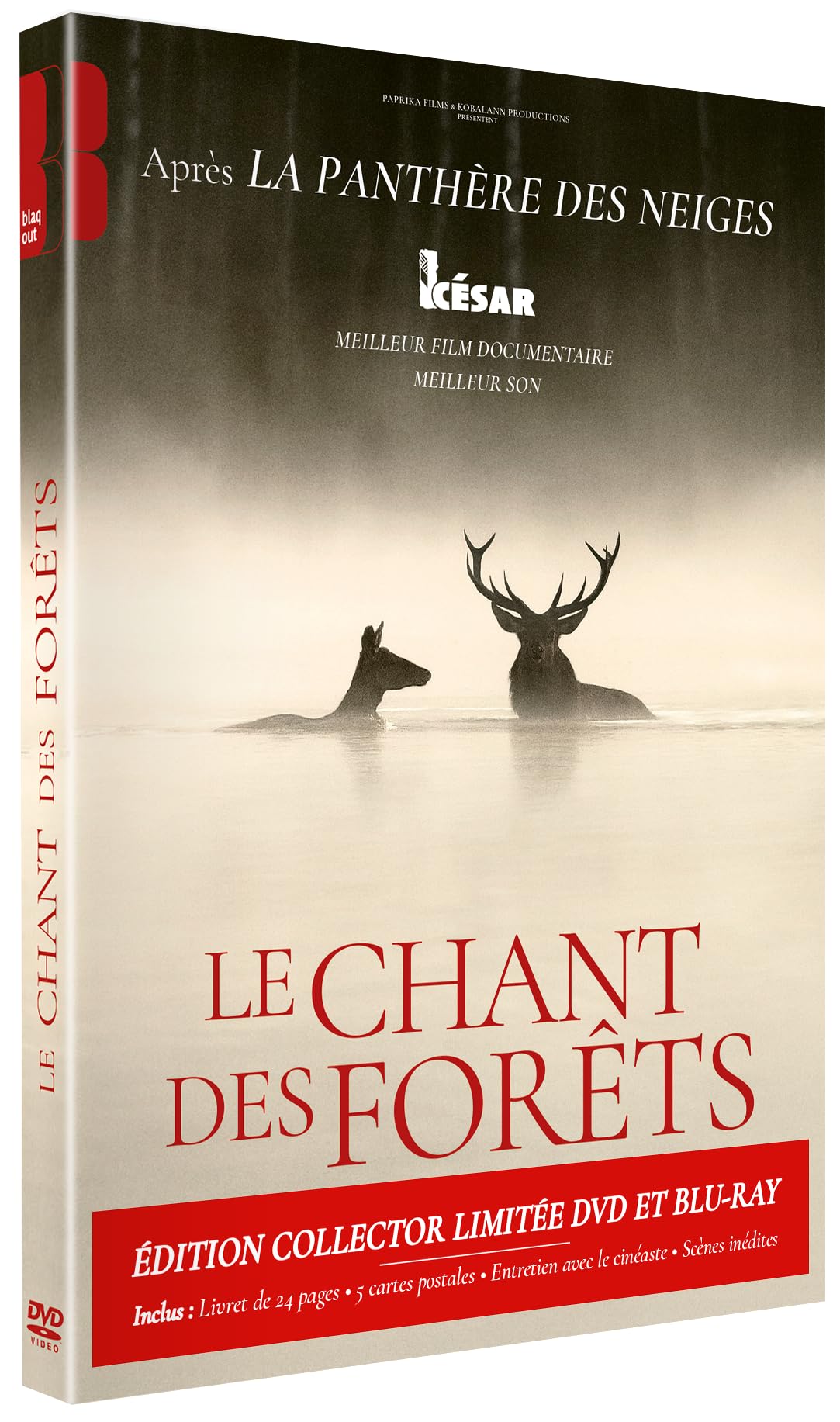 Le chant des forêts - Combo dvd + Blu-ray