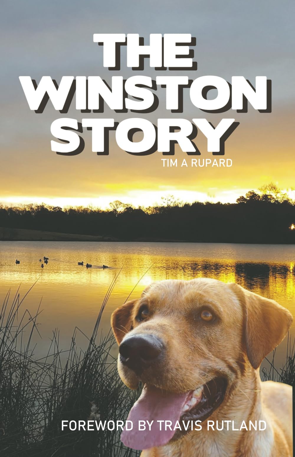 The Winston Story The tale of a dog and his family; His epic battle