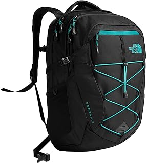 North face backpacks academy Clearance