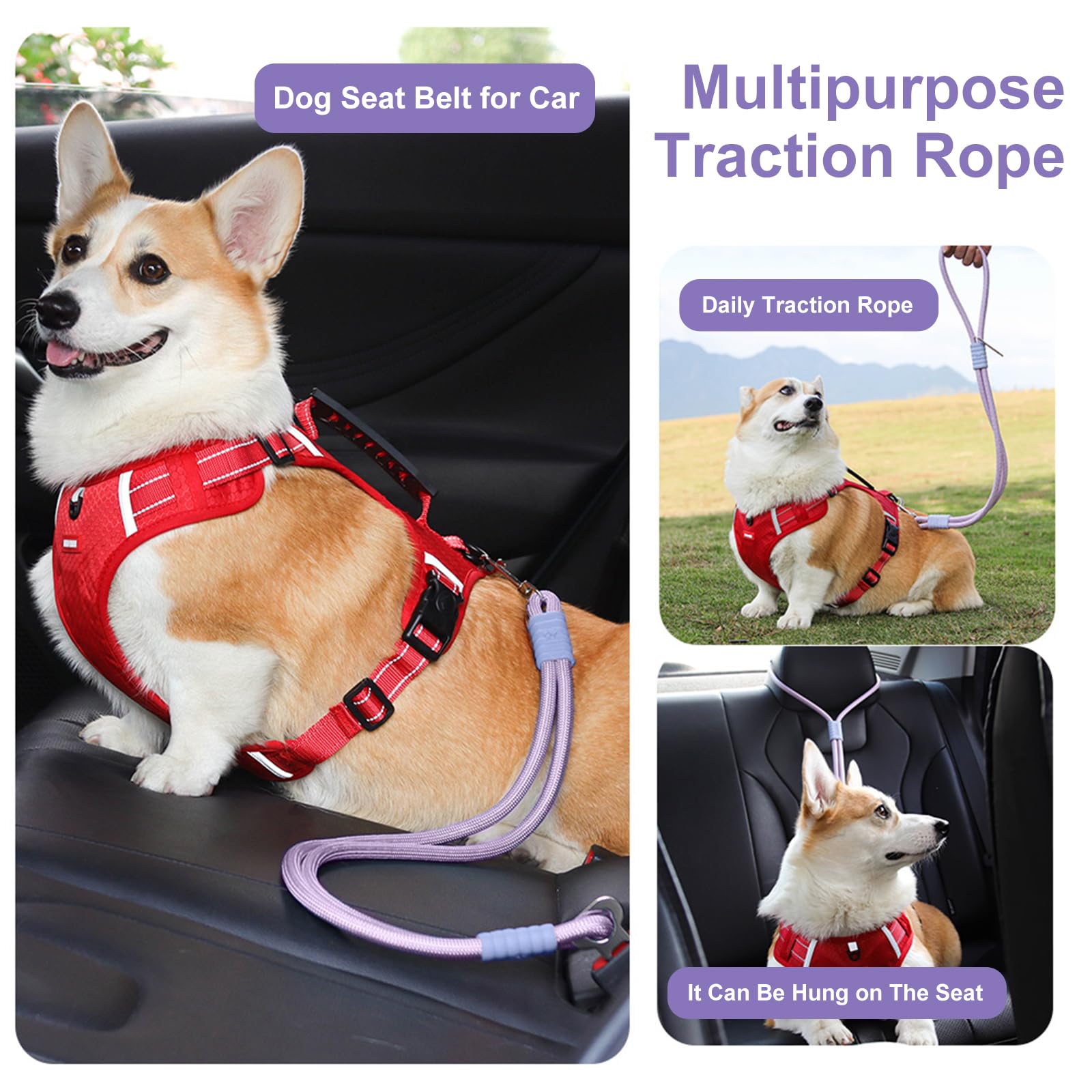 2 Stück Anschnallgurt Hund Auto,Hundeanschnaller fürs Auto,Universelle Sicherheitsschnalle, passend für Autokopfstütze，Kann als Leine verwendet Werden, geeignet für alle Hunde und Katzen (Purple)