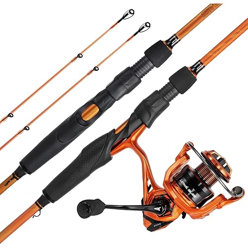 KastKing Lethal Blaze Twin-tip Fishing Rod and Reel Combo, Spinning & Baitcaster Combo, Flame Pattern Design, IM6 Graphite 2Pc Rod with Backup Tip Section, Stainless-Steel Guides, EVA Handle