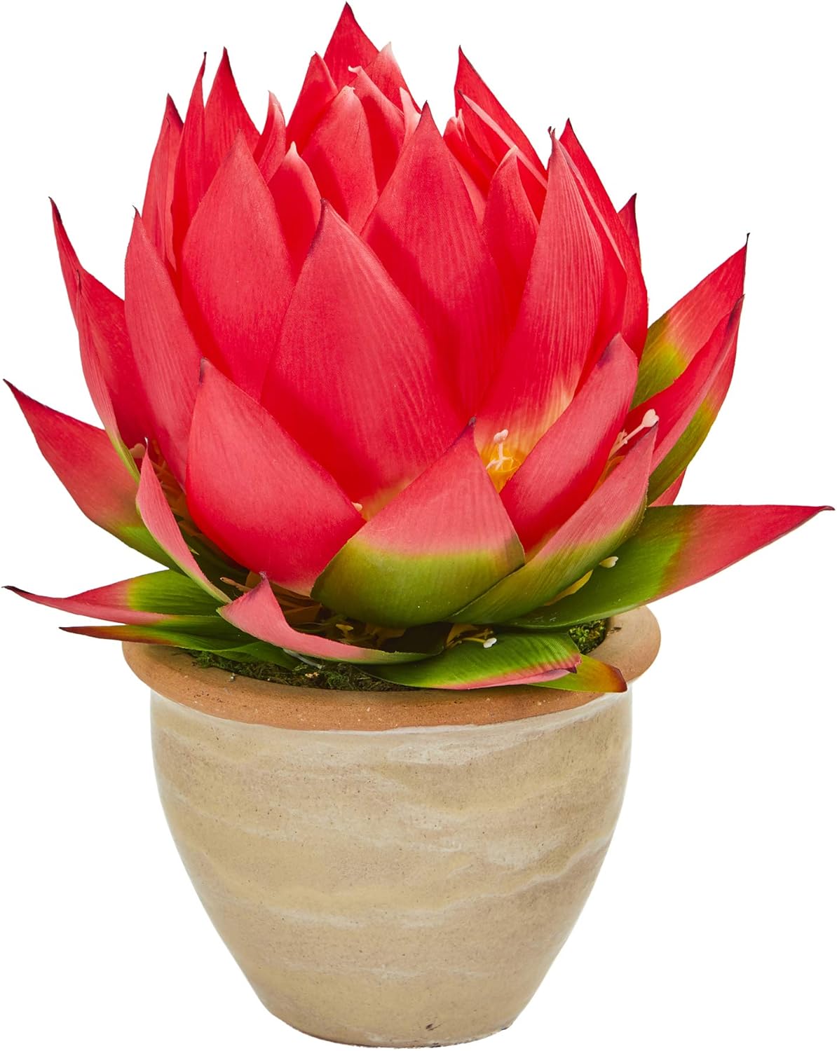 Nearly Natural 12in. Musella Artificial Decorative Vase Silk Arrangements, Red