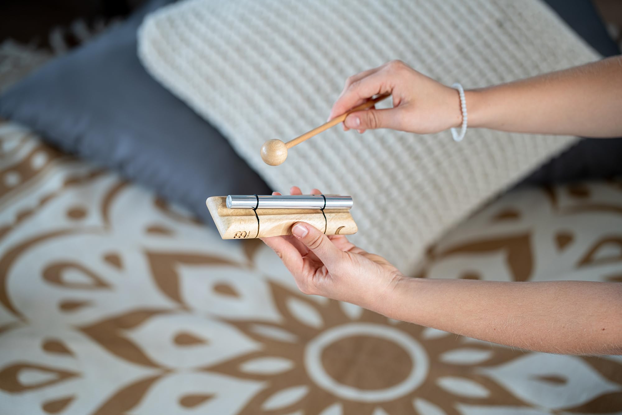 Amazon.co.jp: MEINL マイネル Sonic Energy Collection プラネタリー