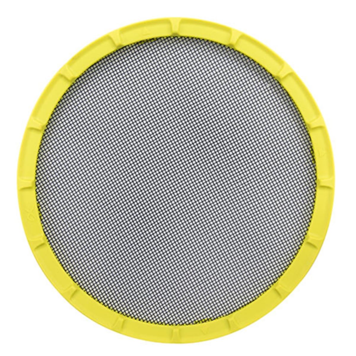 View 4
