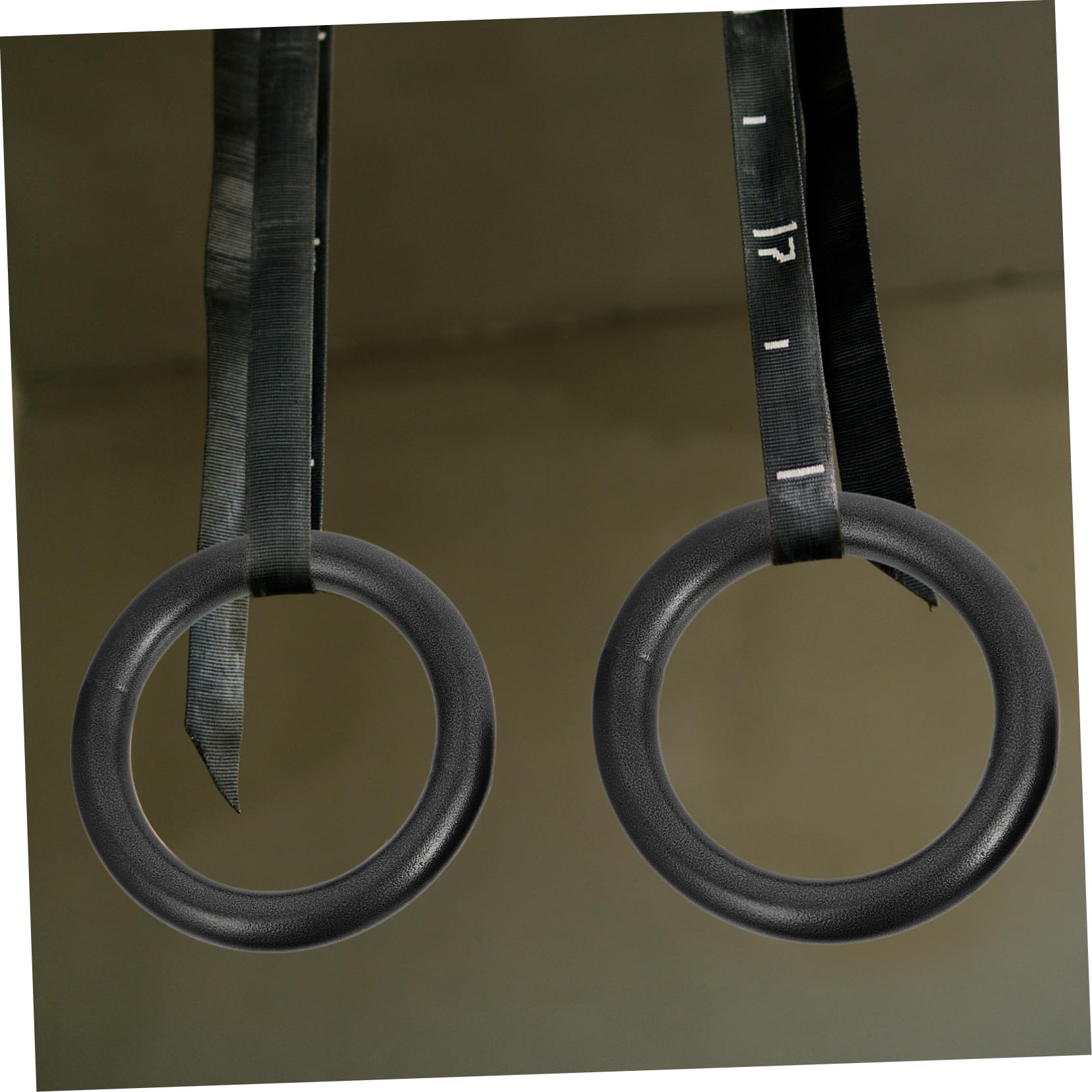 Anelli Ginnici Fitness 2 Pezzi in Acciaio e Corda Nylon