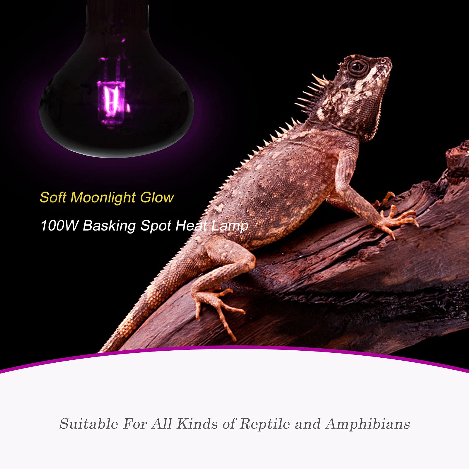Reptile Heat Lamp Hartopet 100W Reptile Night Heat Lamp UVA