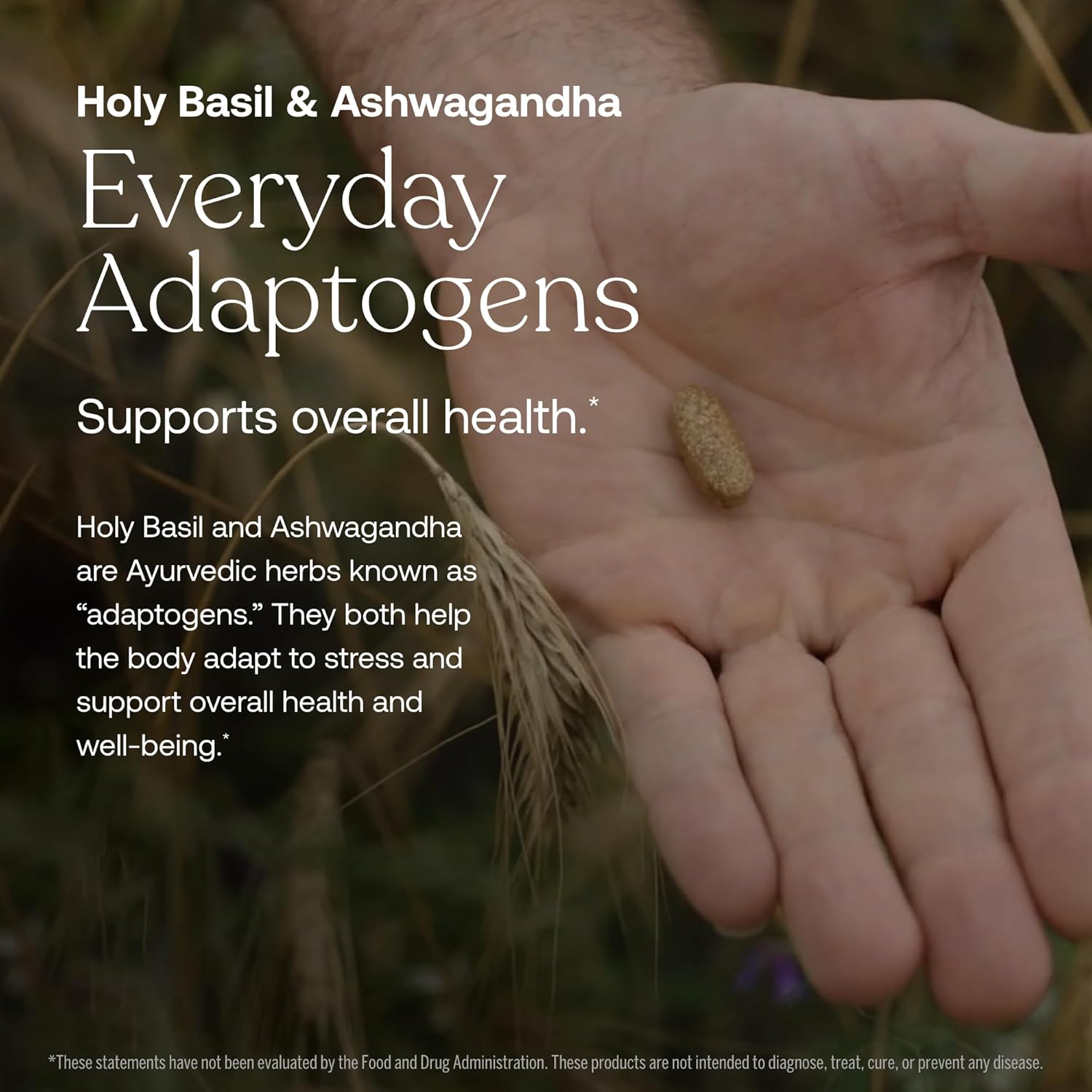 True Grace Men's 40+ One Daily Multivitamin Fermented Minerals, Organic Adaptogens & Mushrooms Whole Body Balance Immune, Endurance, Bone & Heart Support Supplement - Non-GMO - 30 Vegan Tablets - Image 5