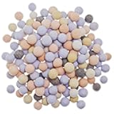 Aquarium Filter Media | Hollow Colorful Ceramic Bio Balls | High Surface Area Bio Media | 500g