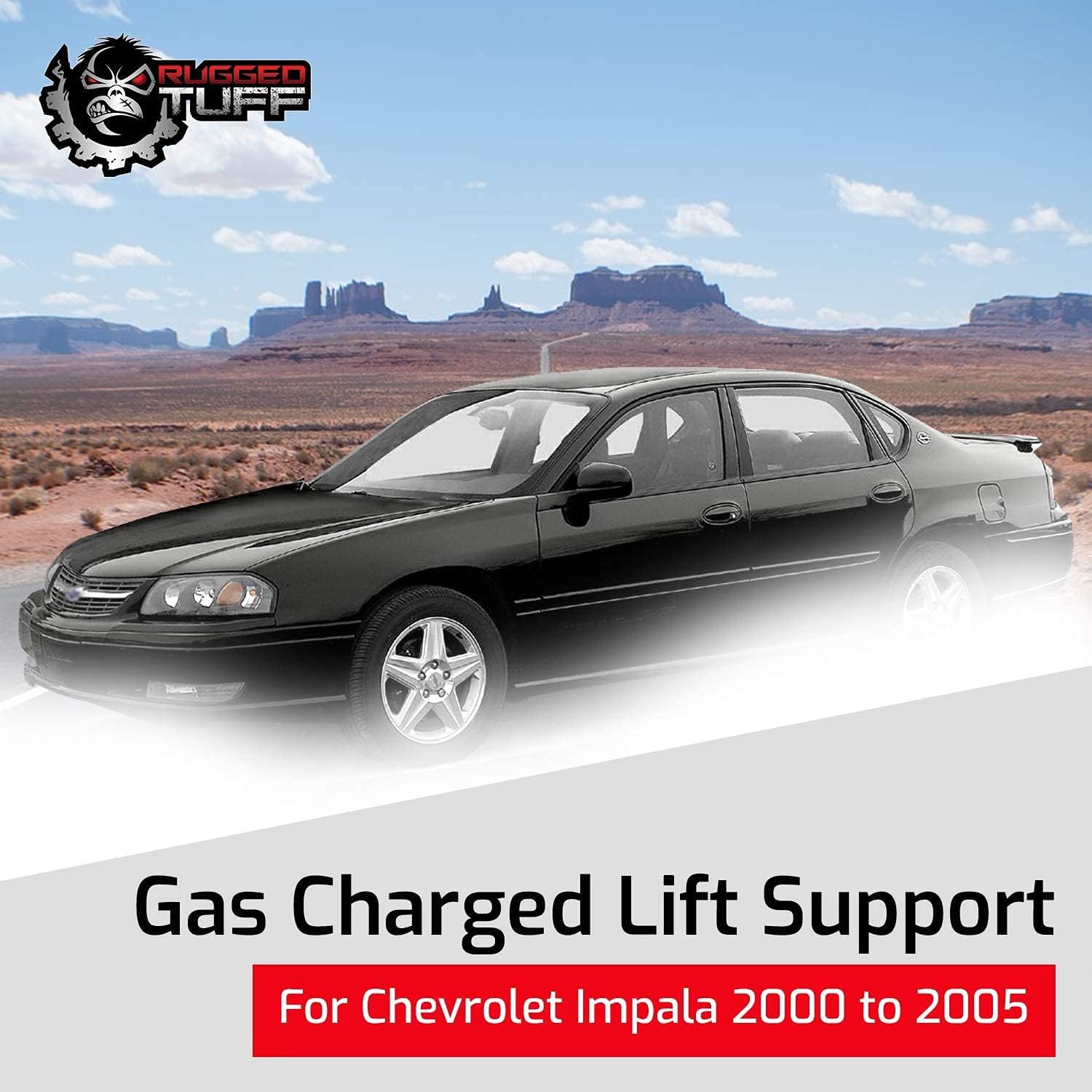 Rear Trunk Lift Support Shocks Struts for 2000-2005 Chevy Impala, 1997-2003 Pontiac Grand Prix, 1999-2005 Monte Carlo Back Lifting Gas Dampers 10326293 4119 (2 Qty) Without Spoiler