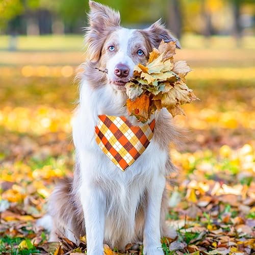 Miniatura 6 de 40 bandanas de otoño para perro, a granel, para el día de Acción de Gracias, baberos, calabaza, hojas de arce, triangular, bandana reversible para