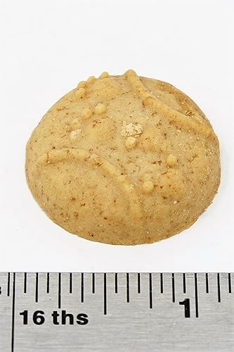 Miniatura 2 de Claudia's Canine Bakery - Bolsas a granel de 5 libras (cosas favoritas - mantequilla de maní)