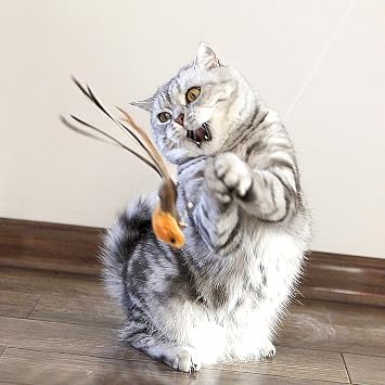 miwoowim Interactive Cat Wand Toy Set, 2 Telescopic Rods & 11 Attachments | Teaser refills for indoor cats,2 retractable fishing poles with worm,bird & feather toys replacement. Durable cat string toy