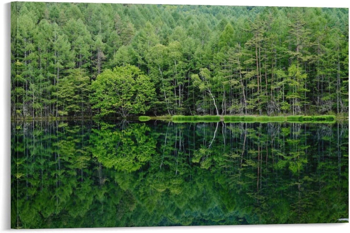 パブロ・ピカソ【Le Gueridon devant la Fenetre】 パブロ・ピカソ【Le Gueridon devant la Fenetre】 Amazon.co.jp: 美工