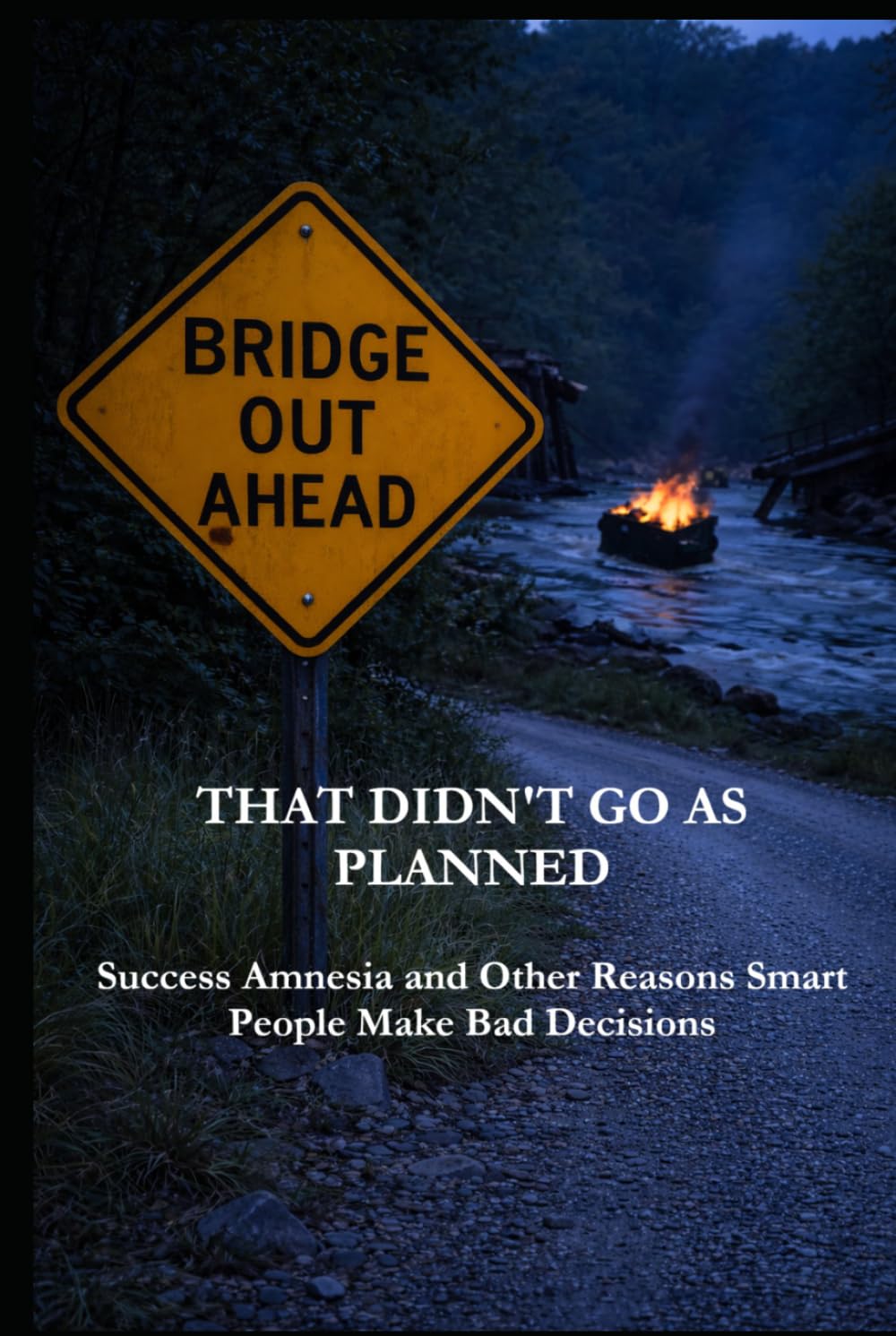 That Didn't Go As Planned: Success Amnesia and Other Reasons Smart People Make Bad Decisions (The Culture of Success)