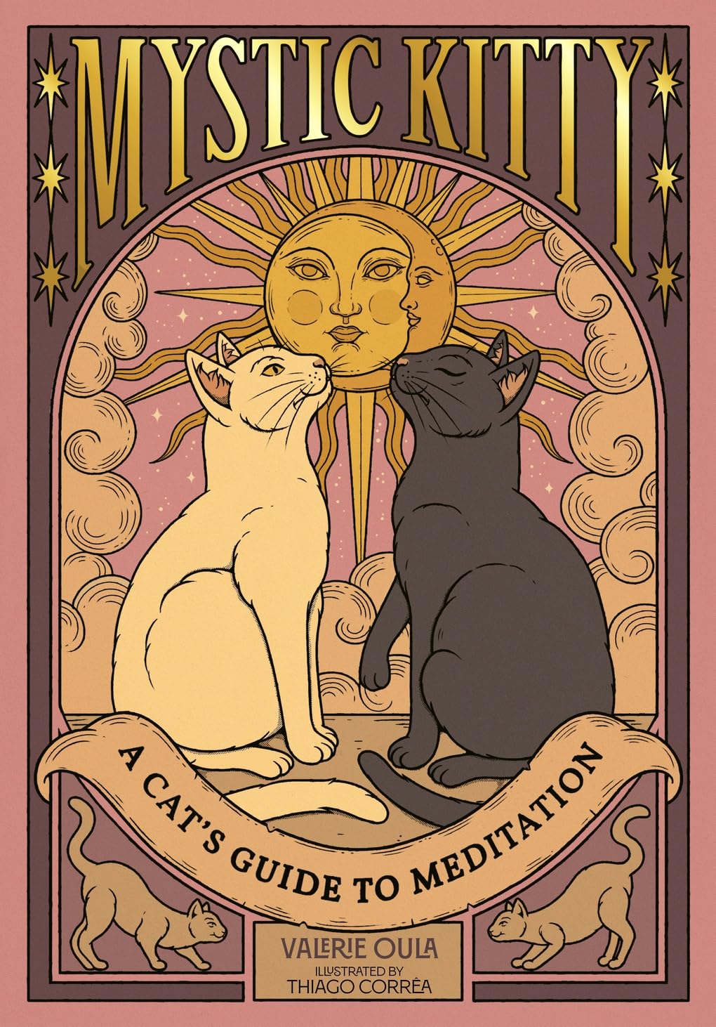 Mystic Kitty: A Cat's Guide to Meditation (Cats Rule the Earth Tarot)