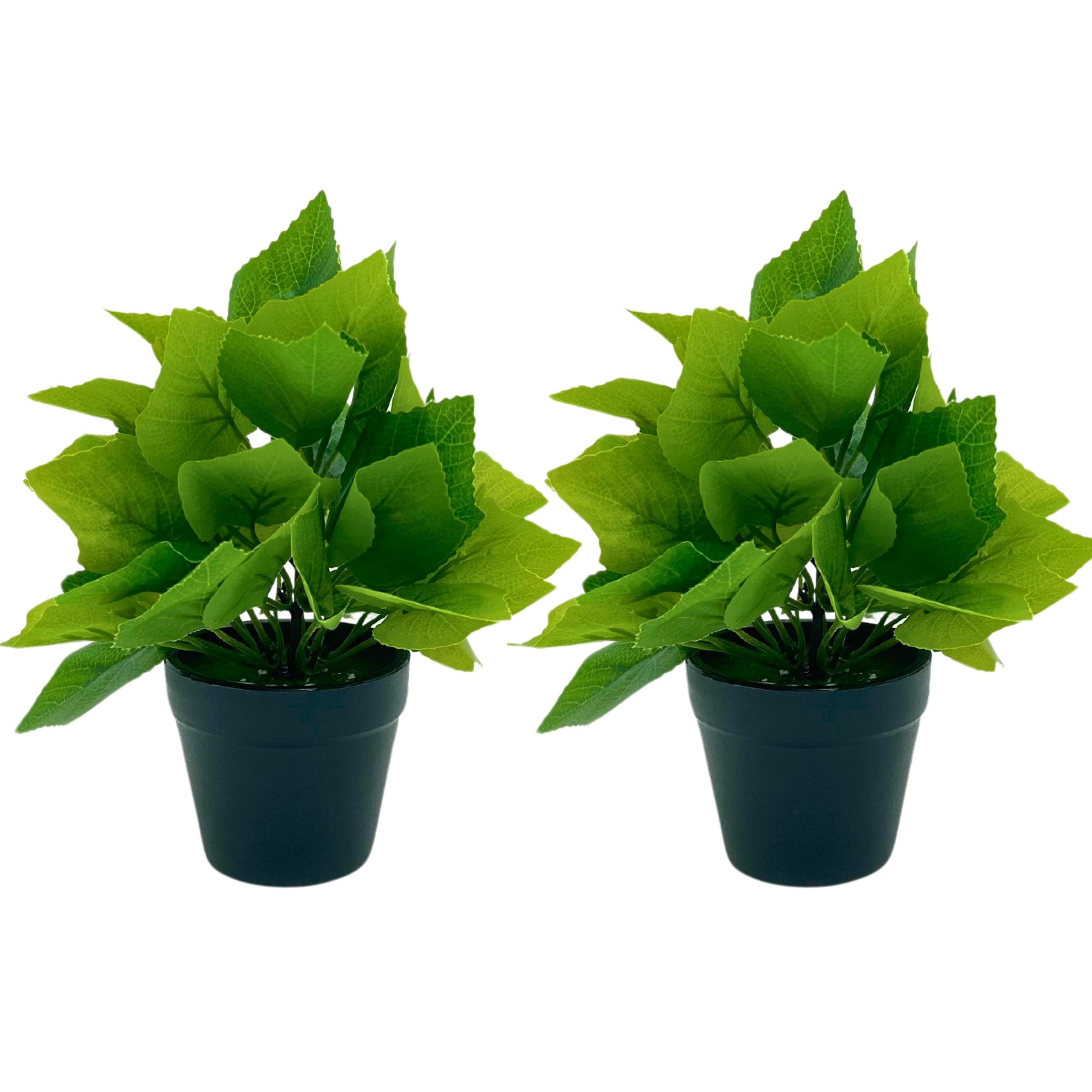 Tdas Artificial Plants Leaves Potted Plant Home Decor Greenery Eucalyptus Small Faux with Pot for Indoor Shelf Farmhouse Desk Bathroom Bedroom Office Decoration (Design4-2pcs) (B0CVDW7DN9) Amazon Price History, Amazon Price Tracker