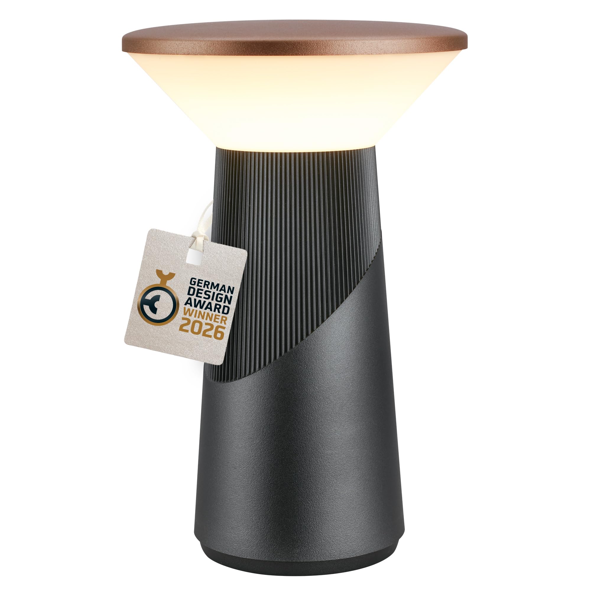 BRILONER - Pilia Rechargeable LED Table Lamp, Stepless Touch Dimmer, IP44, USB-C, Night Light, Bedside Lamps, Battery Lamp, German Design Award Winner 2026, 15 x 24 cm, Anthracite Bronze Metallic
