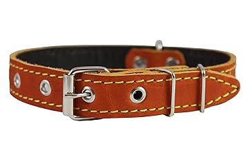 Real Leather Dog Collar 11