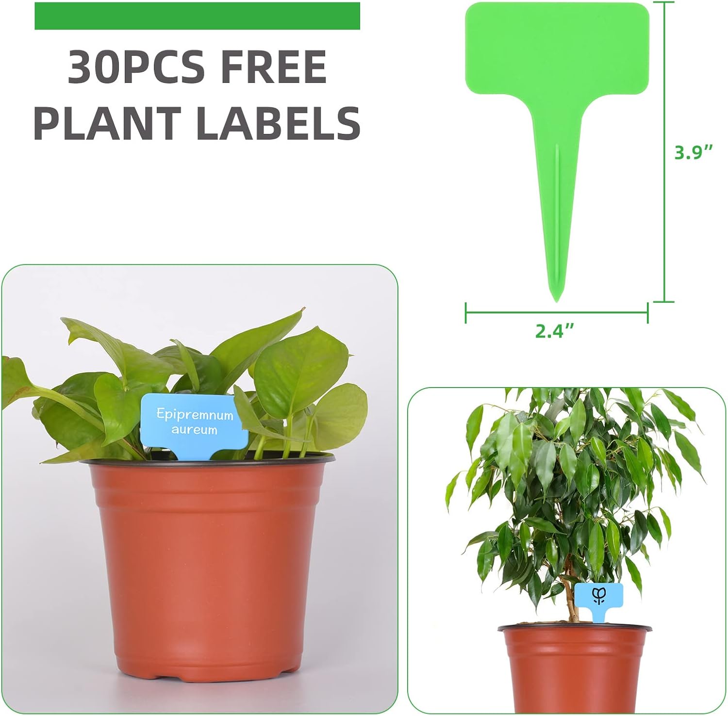 Buy Kleeblatt 100 Pcs Nursery Pots 6 Inch, Plastic Planter Nursery Pots