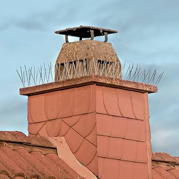 Birds Suloレモンscope Scopes