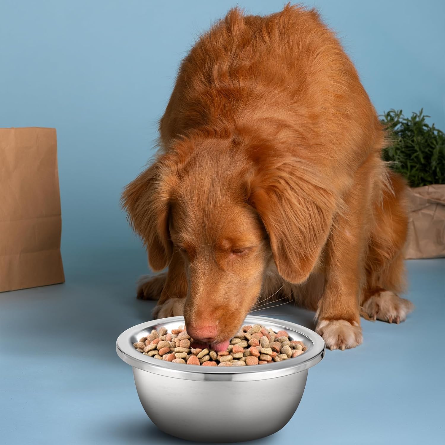1 Gallon Large Dog Bowl Set of 6, Stainless Steel Metal Water Bowls 128oz High Capacity Heavy Duty Pet Food Bowl for X-Large and Giant Dogs, Easy to Clean