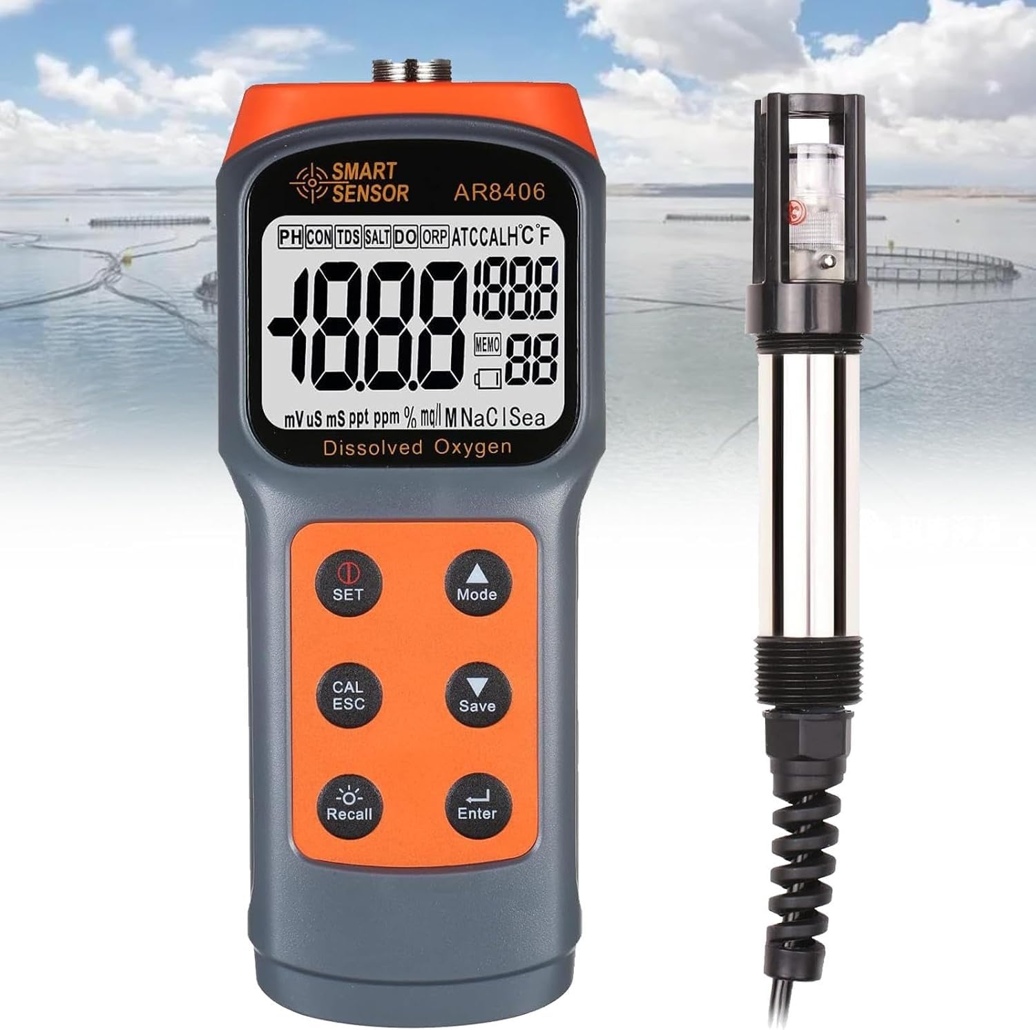 Handheld Dissolved Oxygen Detector, Smart DO Tester Portable Dissolved Oxygen Meter 0~30.0 mg/L, Water Quality Tester for Aquaculture Fish Ponds.