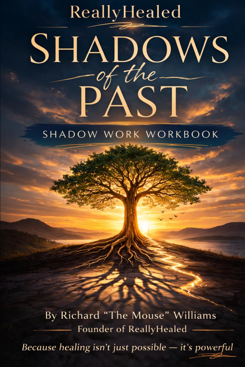 Shadows of the past Shadow work workbook