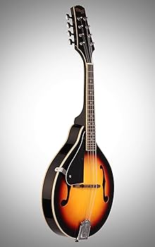 Amazon.co.jp: Stagg M20 左利き 8弦 ブルーグラス マンドリン