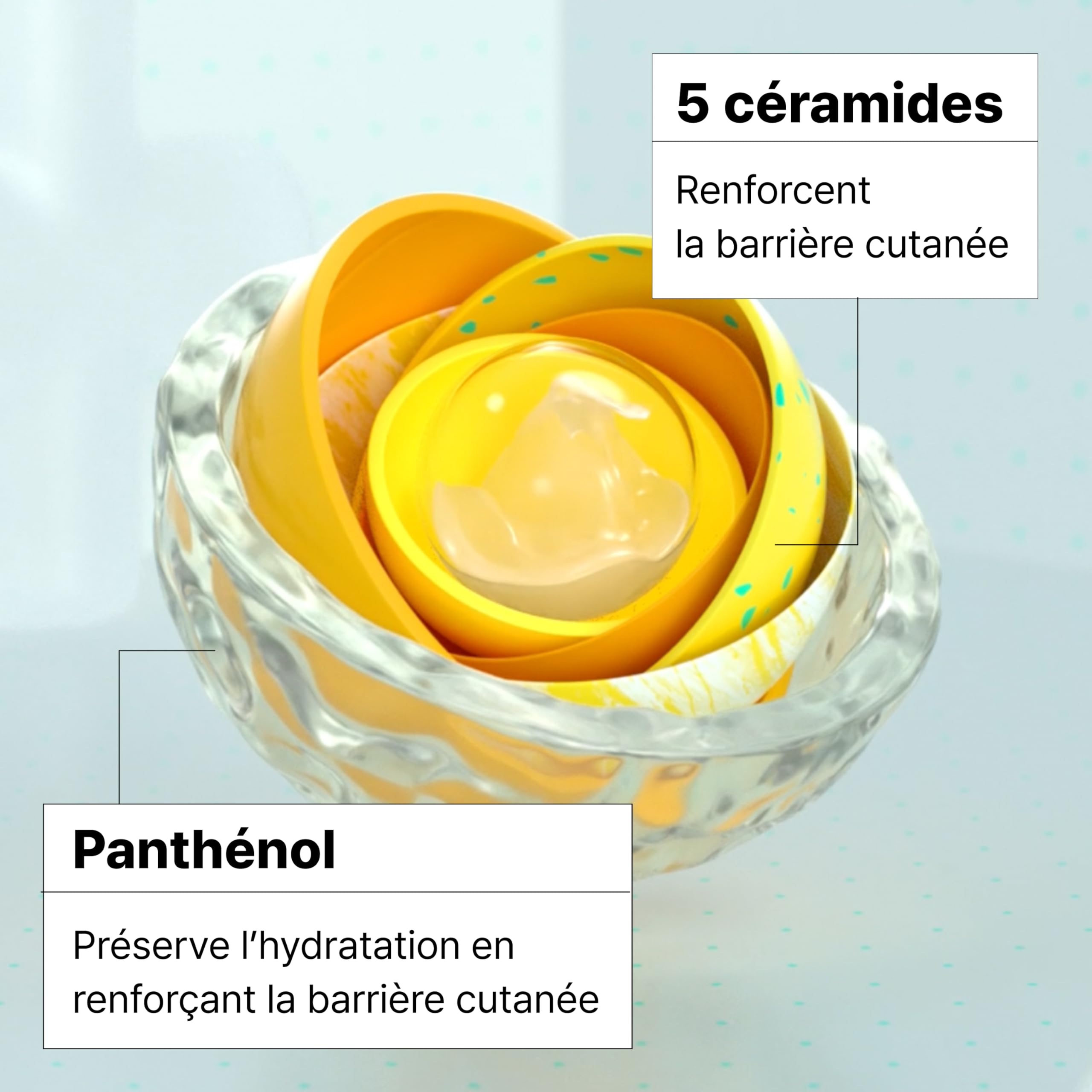 Dr.Jart+ Ceramidin Crème Hydratante Visage Barrière Cutanée pour Peau Sèche aux Céramides et Panthénol | Soin de la peau coréen, 50 ml