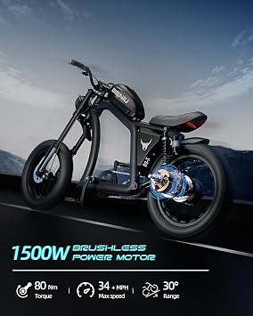 BIGNIU BG-X Electric Bike for Adults,1500W Brushless Motor 48V/31.5Ah Up to 40 Miles E-Bike Front/Rear Turn Signal Dual Suspension Ebikes