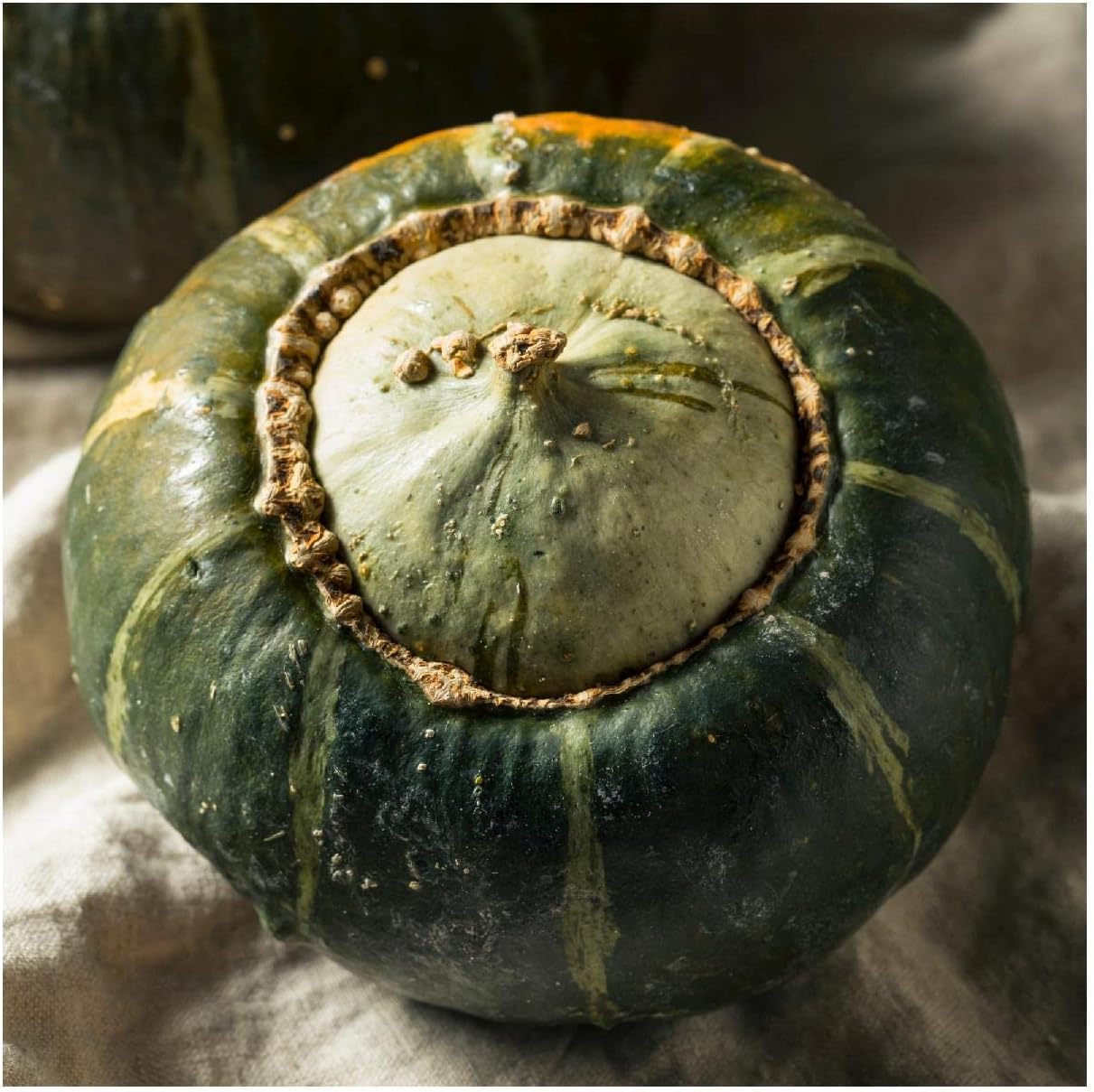 Everwilde Farms - 1 Lb Burgess Buttercup Winter Squash Seeds - Gold Vault