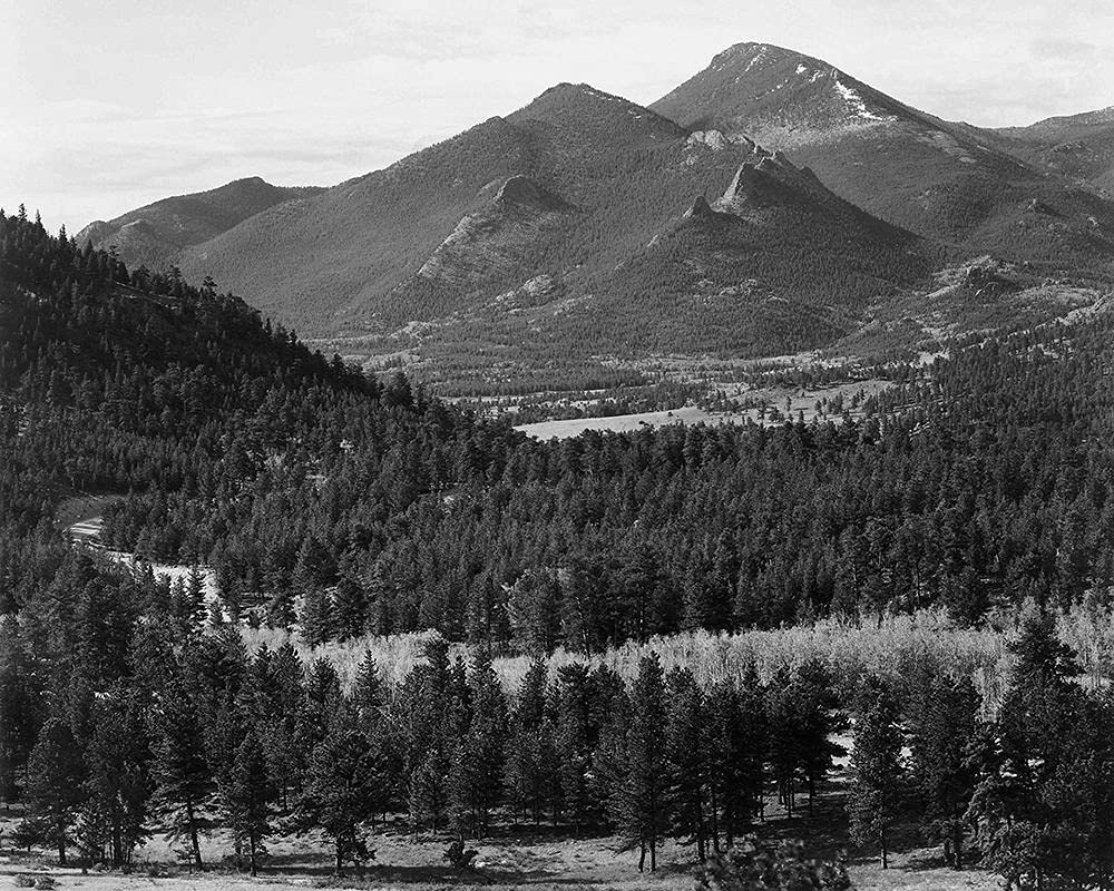 ART-PRINT-on-matte-paper-220gr- Vista con alberi in primo piano, montagne sterili sullo sfondo, nel Parco Nazionale delle Montagne Rocciose, Col Adams Ansel - Fotografia ho 36_X_45_in