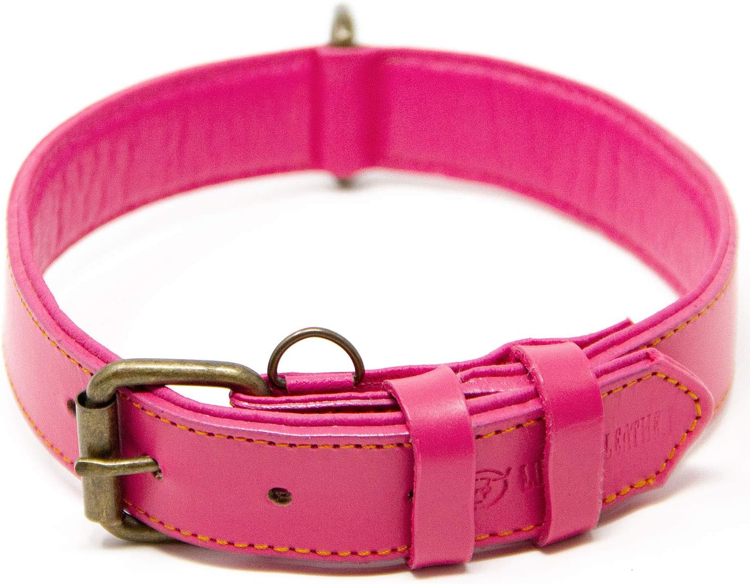 Logical Leather Dog Collar Best Full Grain Padded