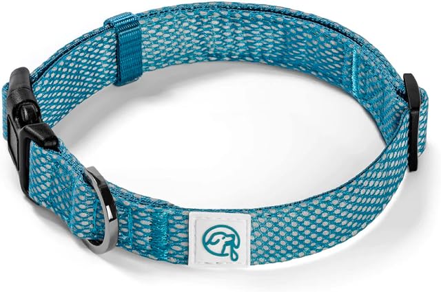 Embark Illuminate Reflective Dog Collar For Large, Medium & Small DogsAdjustable Padded Dog Collars With Buckle Made with Nylon Reflective Material Premium Puppy Collar (Blue Dog Collar Medium)