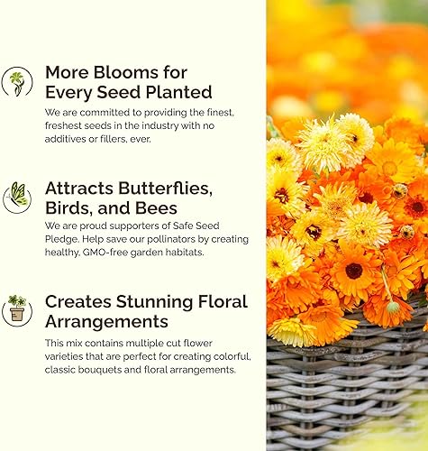 Miniatura 4 de Eden Brothers Shorty - Semillas mixtas de flores silvestres de bajo crecimiento para plantar, 1 libra, más de 480,000 semillas con caléndula, aciano
